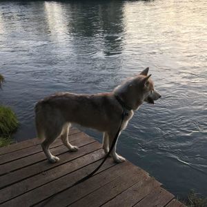 Meet your Posher, Dana